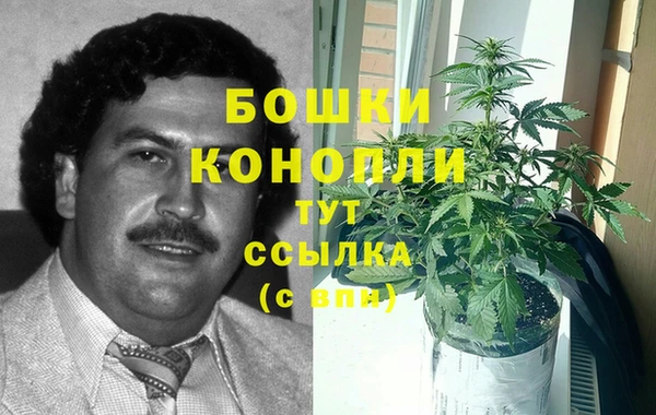 стафф Волосово